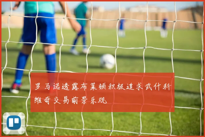 罗马诺透露布莱顿积极追求武什科维奇交易前景乐观
