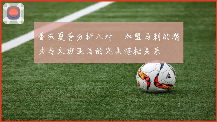 香农夏普分析八村塁加盟马刺的潜力与文班亚马的完美搭档关系